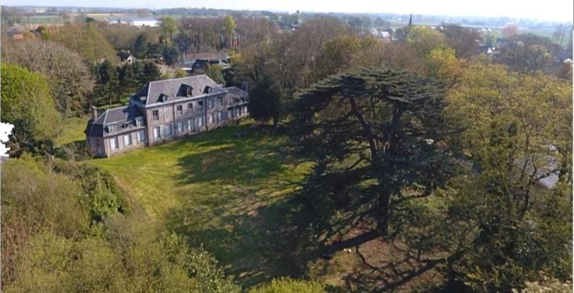 Les Gites Du Chateau Du Cedre Manneville-ès-Plains Exteriér fotografie