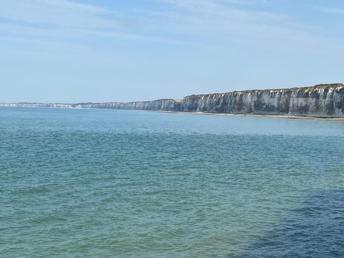 Les Gites Du Chateau Du Cedre Manneville-ès-Plains Exteriér fotografie